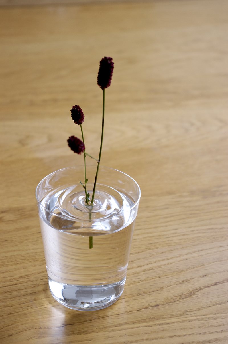 Illustration for article titled These Awesome Floating Vases Are Practically Invisible